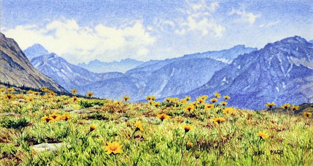 Jean Pilch artwork 'MOUNTAINTOP ARNICA' available at Canada House Gallery - Banff, Alberta